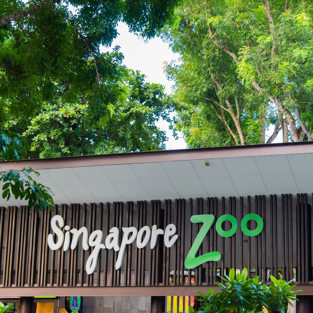 Singapore Zoo