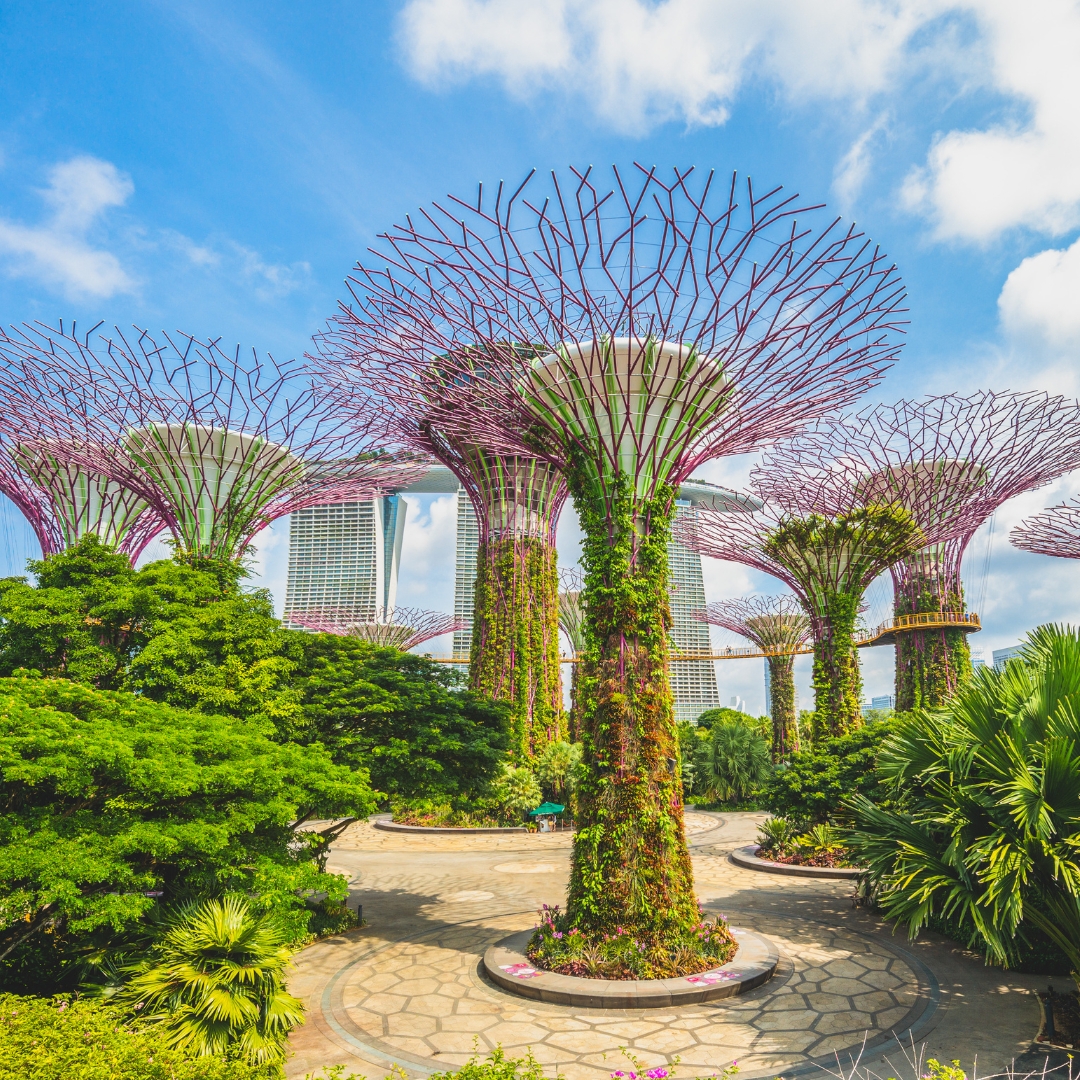 Gardens by the Bay