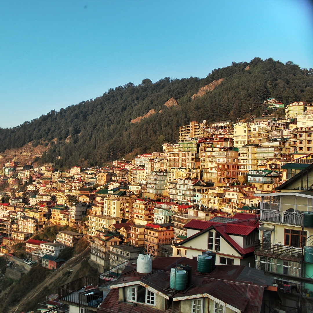 Shimla