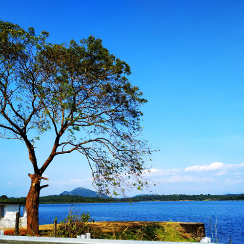 Mahiyanganaya Sorabora Lake