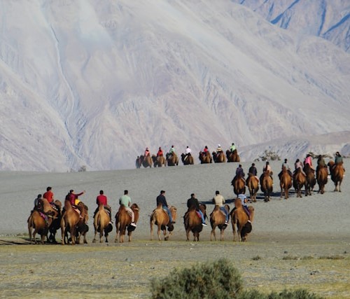 Nubra Valley